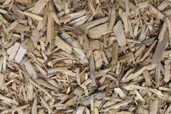 biomass boilers Needwood